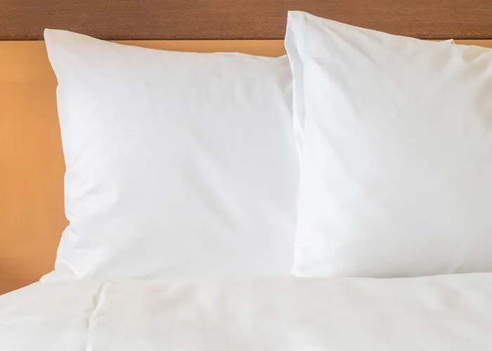 Waterpark hotels Holiday Inn Express - Williamsburg Busch Gardens Area By Ihg